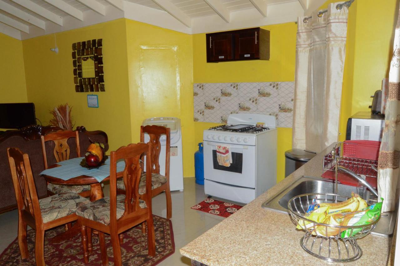 Josan'S Haven Villa Ocho Rios Luaran gambar